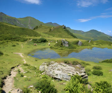 Gör dig redo att utforska många familjevänliga vandringsleder i närheten!