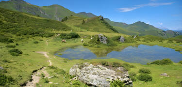 Gør dig klar til at udforske de mange familievenlige vandrestier i nærheden!