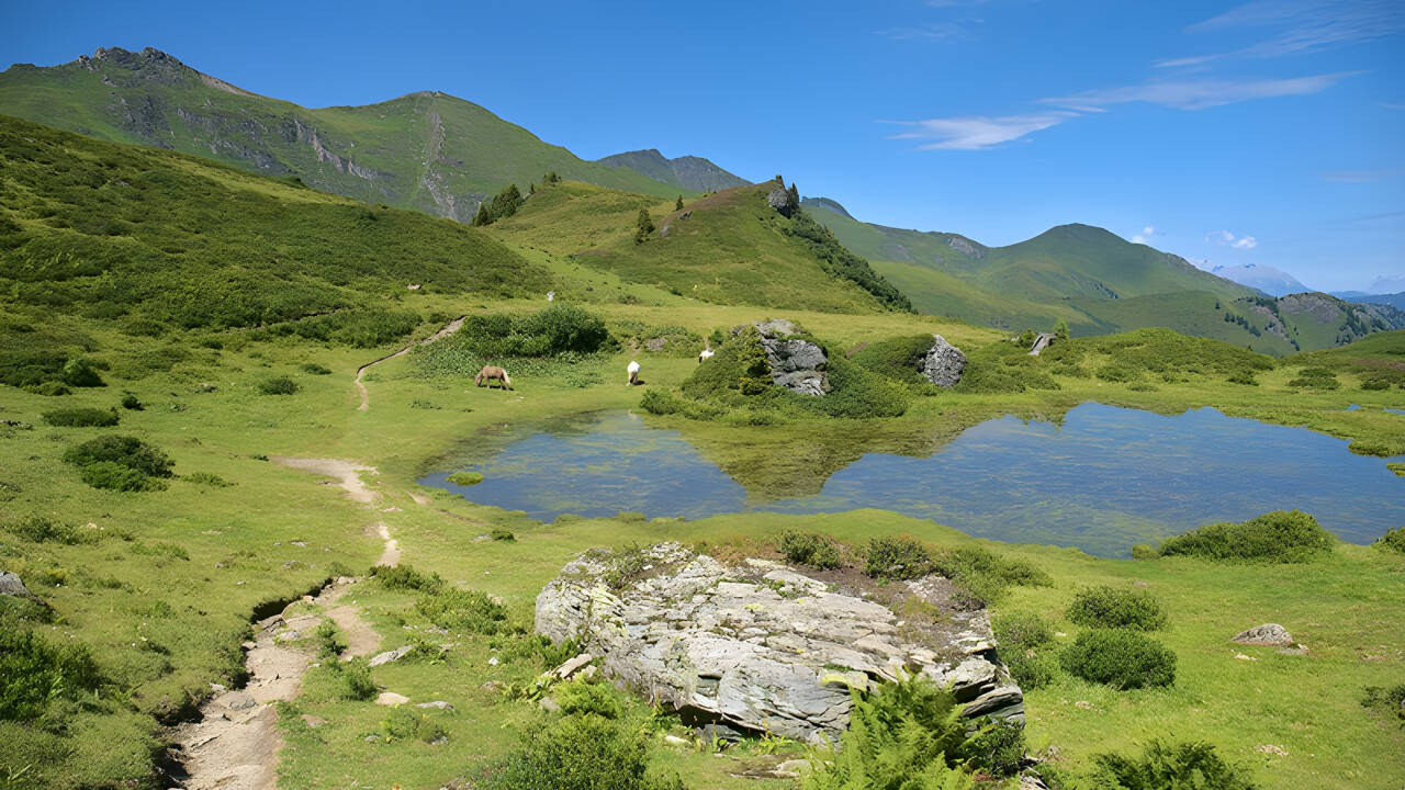 Gjør deg klar til å utforske de mange familievennlige turstiene i nærheten!