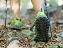 Erkunden Sie die zahlreichen Ausflugsmöglichkeiten, darunter Nordic Walking, Abenteuerparks und Tierparks.