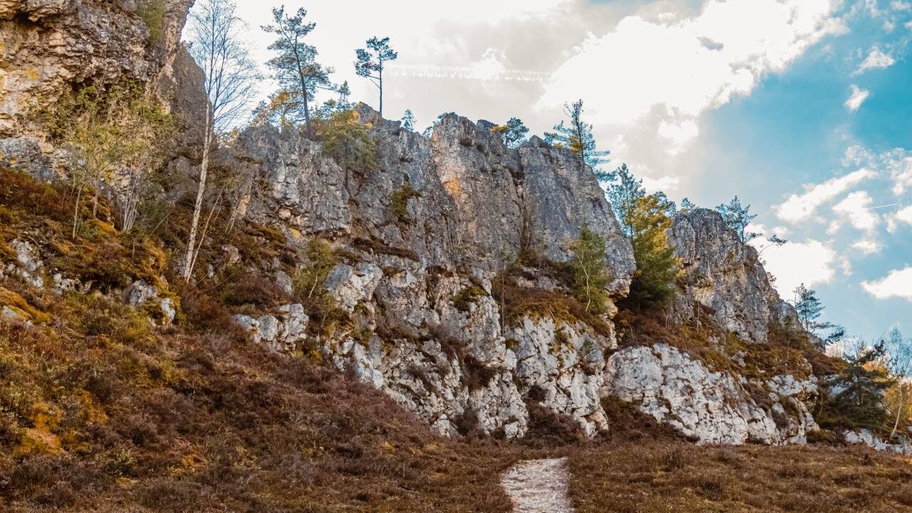 The area is great for walking and cycling, with forests, countryside and the impressive white quartz rocks of Großer Pfahl to explore.