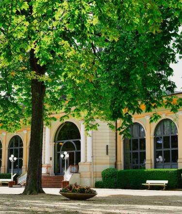 Discover the highlights of the spa town of Bad Harzburg and the other popular excursion destinations in the Harz Mountains.