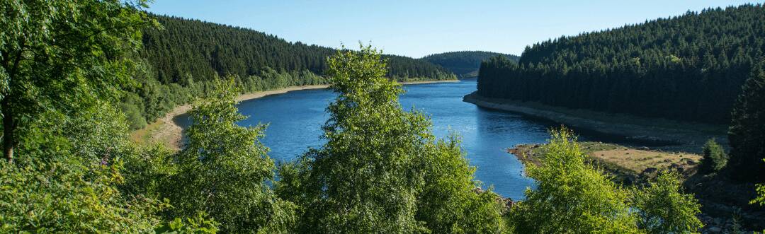 Det finns många sätt att njuta av naturen, från vandring till mountainbike.