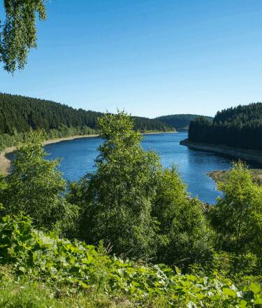Det finns många sätt att njuta av naturen, från vandring till mountainbike.