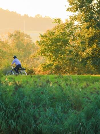Explore Paderborn’s outdoor wonders, from the splendid Paderquellgebiet springs in the town's heart to extensive hiking and cycling trails.