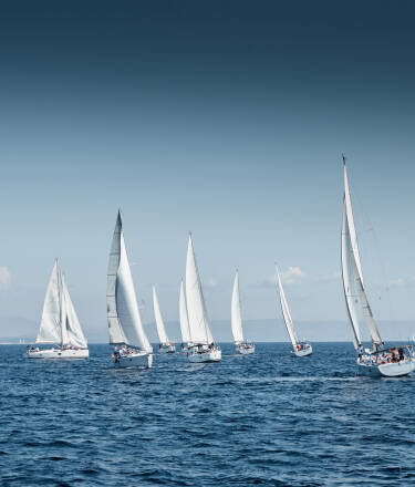 Witness exciting sailing events directly from the hotel, enhancing the maritime experience.
