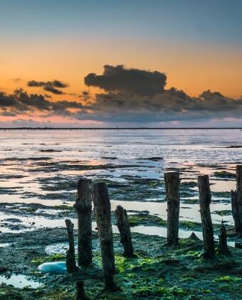 Det fascinerende Vadehavet er definitivt et sted å besøke.