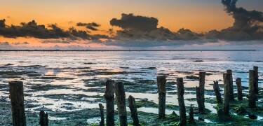Das faszinierende Wattenmeer ist definitiv einen Besuch wert.