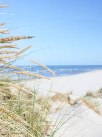 Go to Europe's widest beach, which you will find on Romo.