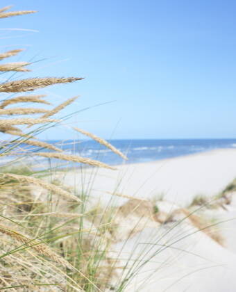 Go to Europe's widest beach, which you will find on Romo.