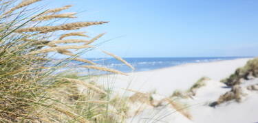 Dra til Europas bredeste strand, som du finner på Rømø.
