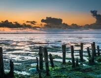 The fascinating Wadden Sea is definitely a place to visit.