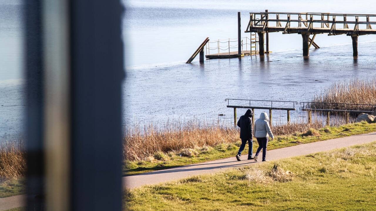 I Tønning kan I besøge Tysklands største vadehavsmuseum "Multimar Wattforum".