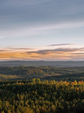 Värdshuset Flottaren