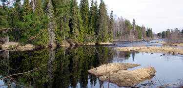 Området er omgivet af skove, søer og floder og byder på maleriske naturscenerier.