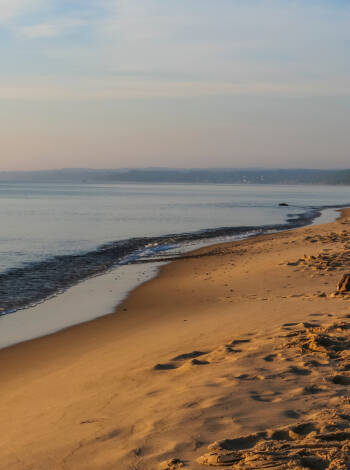 One of Sweden's finest sandy beaches is directly adjacent to the hotel.