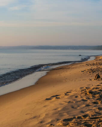 One of Sweden's finest sandy beaches is directly adjacent to the hotel.