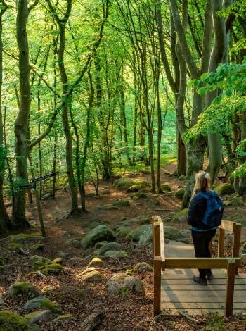 Utforska närliggande naturreservat så som Stiby Backe, Kråknabben och Listershuvud.