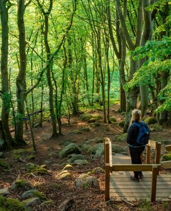 Erkunden Sie die nahe gelegenen Naturschutzgebiete wie Stiby Backe, Kråknabben und Listershuvud.