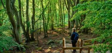 Erkunden Sie die nahe gelegenen Naturschutzgebiete wie Stiby Backe, Kråknabben und Listershuvud.