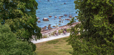 Udforsk omgivelserne på to hjul. Hotell Hanöhus Hällevik kan leje cykler til dig.