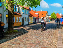 Fra hotellet har I bare en kort køretur fra det charmerende centrum i Odense, som har så meget at byde på.