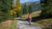 Entdecken Sie Panoramablicke auf den Miller’s Trails mit Strecken von 1,5 bis 8 km.