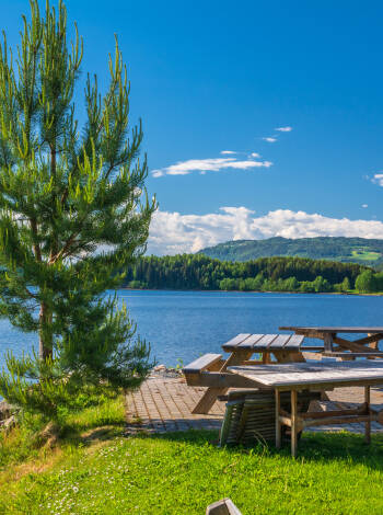 Stroll along the Hamar promenade, explore the harbour, and soak up the serene atmosphere by the lake and beaches.