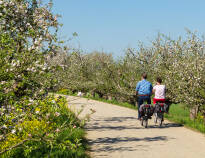 Regionen är perfekt för långa cykelturer genom landsbygden.
