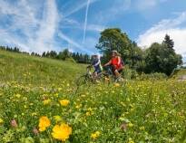 The area around Altentreptow is popular for cycling and hiking. Hotel am Markt offers bikes for rent.