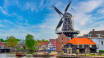 Erkunden Sie Amsterdams Stadtzentrum oder tauchen Sie in die einzigartige Kultur Haarlems ein.