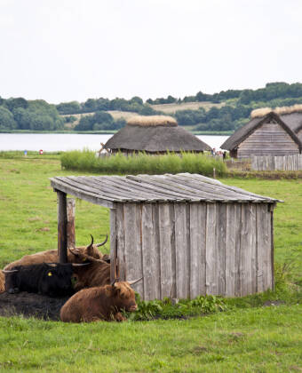 I nærheten kan du spille vikinggolf eller utforske småbåthavnen.