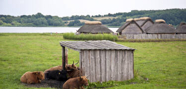 Nearby, guests have the opportunity to play Viking golf or explore the marina.