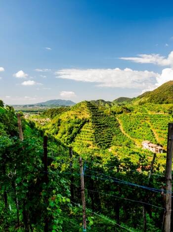 Nära till charmiga destinationer som Valdobbiadene, Asolo och Prosecco Hills.
