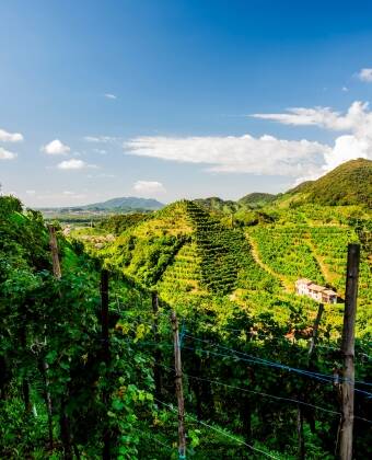 In der Nähe befinden sich so reizvolle Ziele wie Valdobbiadene, Asolo und die Prosecco-Hügel.