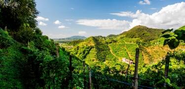 Hotellet ligger i nærheten av sjarmerende destinasjoner som Valdobbiadene, Asolo og Prosecco-åsene.