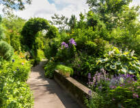 Opplev Anne Justs hage med et antall vakre blomster, planter, trær og busker.
