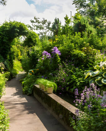Erleben Sie den schönen Garten von Anne Just mit unzähligen wunderschönen Blumen, Pflanzen, Bäumen und Sträuchern.
