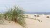 Der Sandstrand ist nur 200 Meter vom ALGA Baltic Resort entfernt.