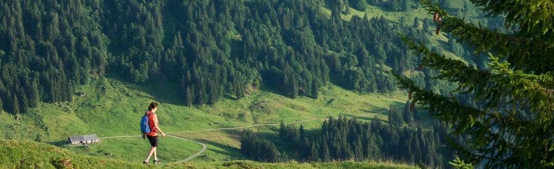 Kliva rakt ut i ett nätverk av natursköna vandringsleder, från lugna promenader på Seefeld-platån till alpina rutter i Karwendel-bergen.