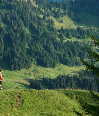 Direkt vor der Tür starten zahlreiche Wanderwege: Von gemütlichen Spaziergängen auf dem Seefelder Plateau bis zu alpinen Touren im Karwendelgebirge.