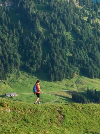 Kliva rakt ut i ett nätverk av natursköna vandringsleder, från lugna promenader på Seefeld-platån till alpina rutter i Karwendel-bergen.