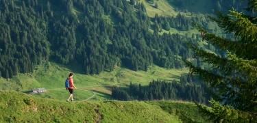 Direkt vor der Tür starten zahlreiche Wanderwege: Von gemütlichen Spaziergängen auf dem Seefelder Plateau bis zu alpinen Touren im Karwendelgebirge.