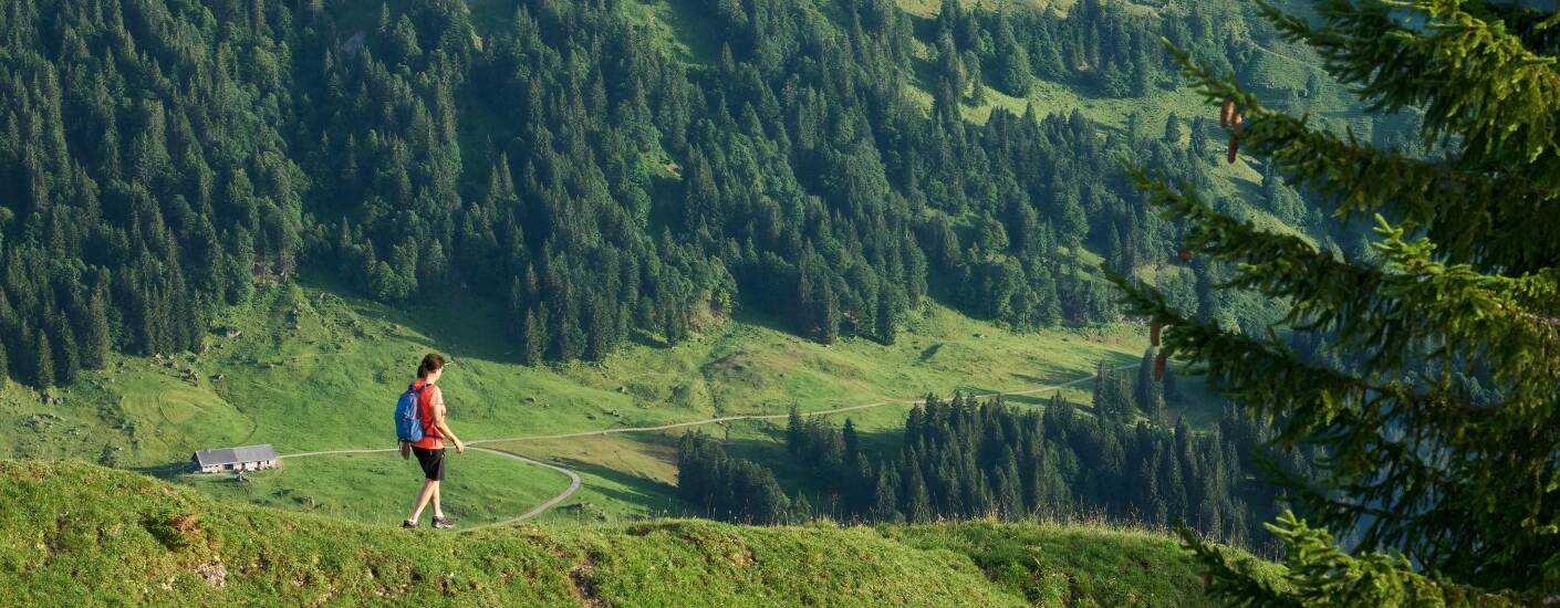 Gå rett ut i et nettverk av naturskjønne turstier, fra rolige turer på Seefeld-platået til alpine ruter i Karwendel-fjellene.