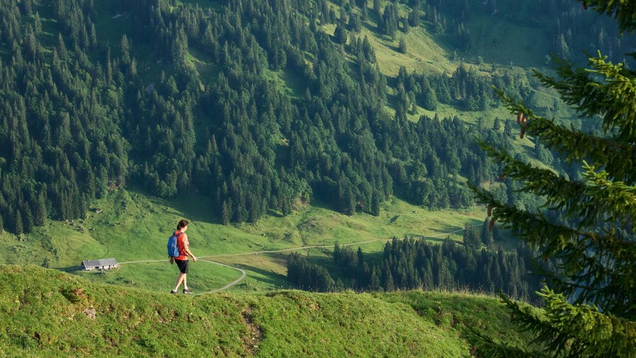 Gå rett ut i et nettverk av naturskjønne turstier, fra rolige turer på Seefeld-platået til alpine ruter i Karwendel-fjellene.