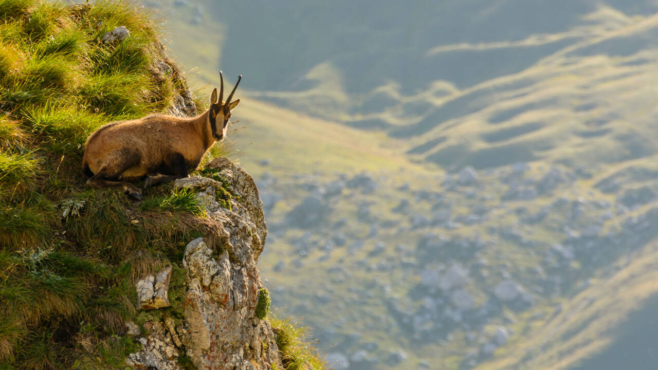 Abruzzo is Europe's greenest region, boasting 75% of all European flora and fauna.