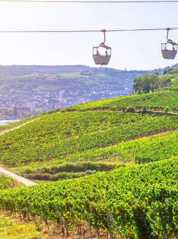 Die Rüdesheimer Seilbahn ist der perfekte Start in den Urlaub. Genießen Sie unvergessliche Ausflüge rund um den Niederwald und lassen Sie die Natur und die Landschaft auf sich wirken.