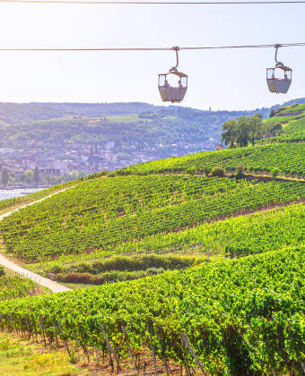 Die Rüdesheimer Seilbahn ist der perfekte Start in den Urlaub. Genießen Sie unvergessliche Ausflüge rund um den Niederwald und lassen Sie die Natur und die Landschaft auf sich wirken.