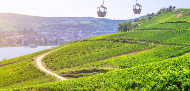Linbanan Rüdesheim är det perfekta sättet att börja din semester. Njut av oförglömliga utflykter runt Niederwald och förundras över naturen och det vackra landskapet.