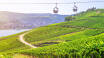 Die Rüdesheimer Seilbahn ist der perfekte Start in den Urlaub. Genießen Sie unvergessliche Ausflüge rund um den Niederwald und lassen Sie die Natur und die Landschaft auf sich wirken.